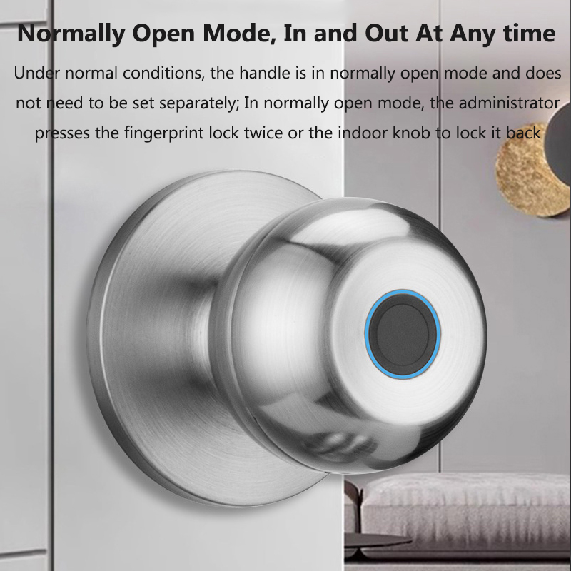 Cerradura de puerta Tuya, llav - Smart Home Door Lock reseña y precio